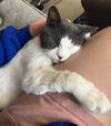 Finley