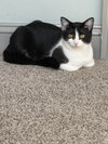 Ms. Fancy - Photo 11
