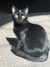 Two Bit - Photo 8