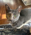 Tilly - Photo 2
