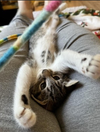 Martha - Photo 8