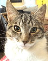 Martha - Photo 5