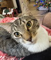 Martha - Photo 3