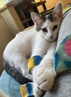Prudence - Photo 6