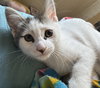 Prudence - Photo 7