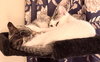 Prudence - Photo 9