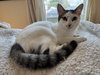 Prudence - Photo 1