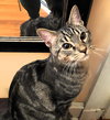 Radar - Photo 5