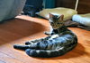 Radar - Photo 4