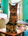 Radar - Photo 7