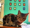 Radar - Photo 8