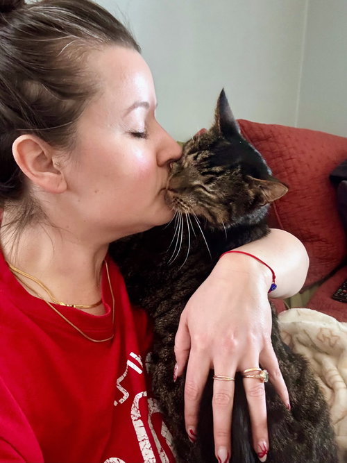 picture of the cat needing adoption