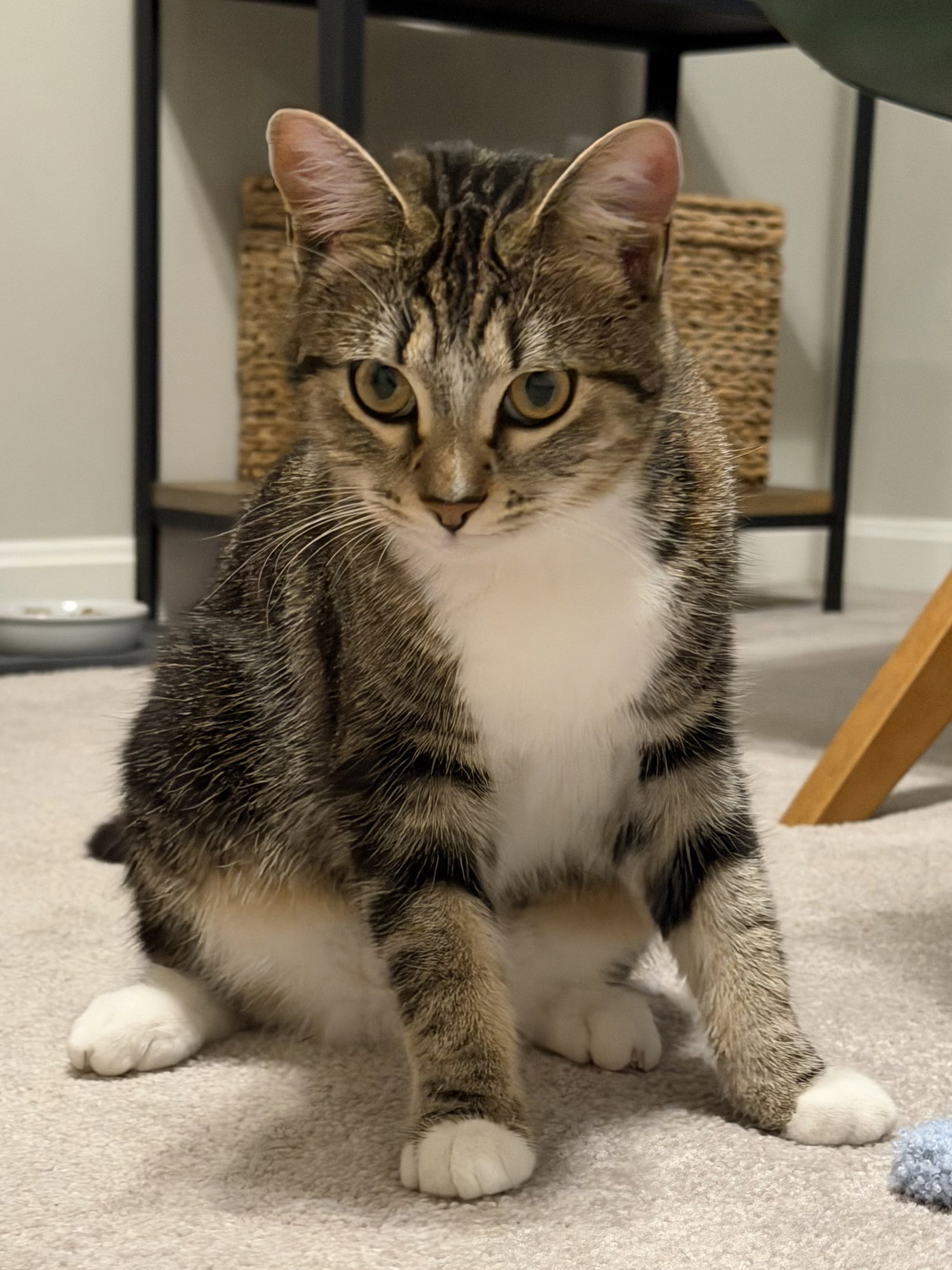 Meggie Image