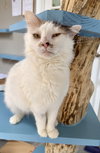 Gertie - Photo 7