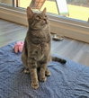 Taz - Photo 6