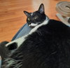 Blinky - Photo 2