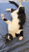 Blinky - Photo 4