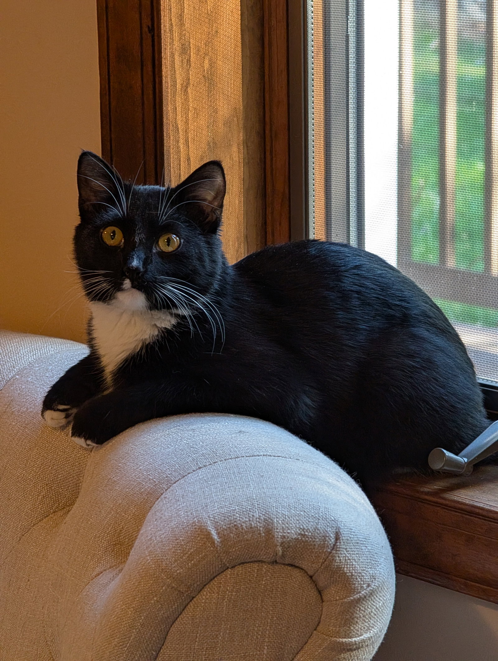 Coby