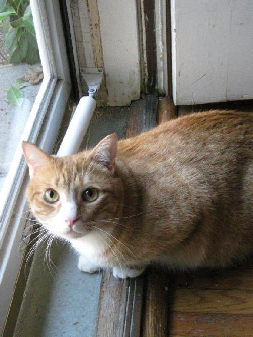 Rupert