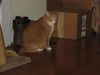 Rupert