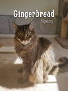 Gingerbread