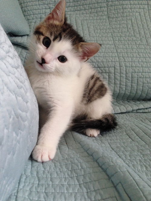 Molly