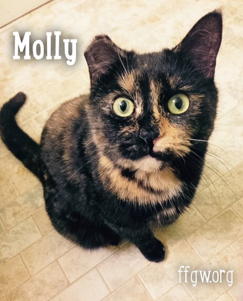 Molly