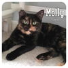 Molly