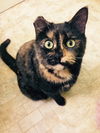 Molly