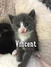 Vincent G.