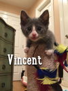 Vincent G.