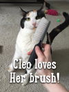 Cleo