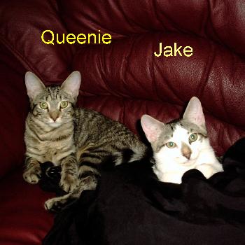 Jake & Queenie