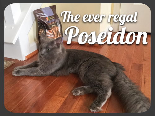 Poseidon