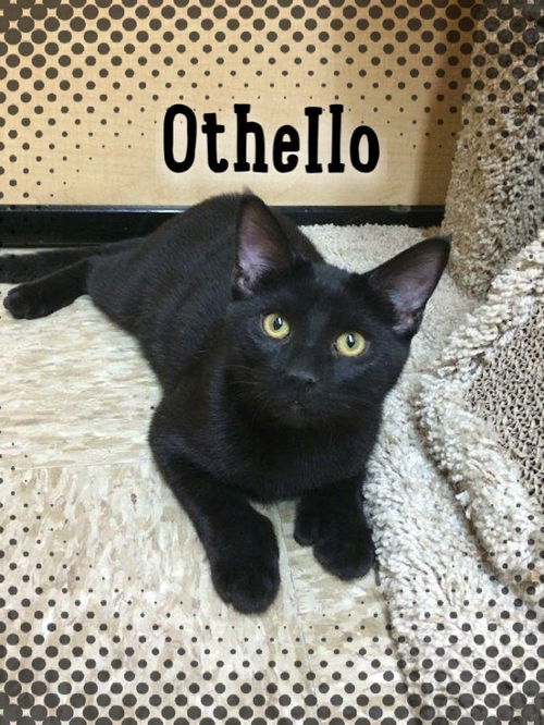 Othello