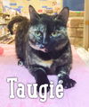 Taugie