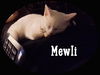 Mewli