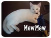 MewMew