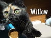 Willow 1