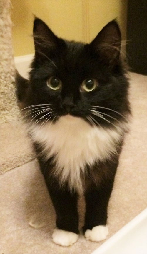 Clara
