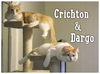 Crichton (Cry-ton)