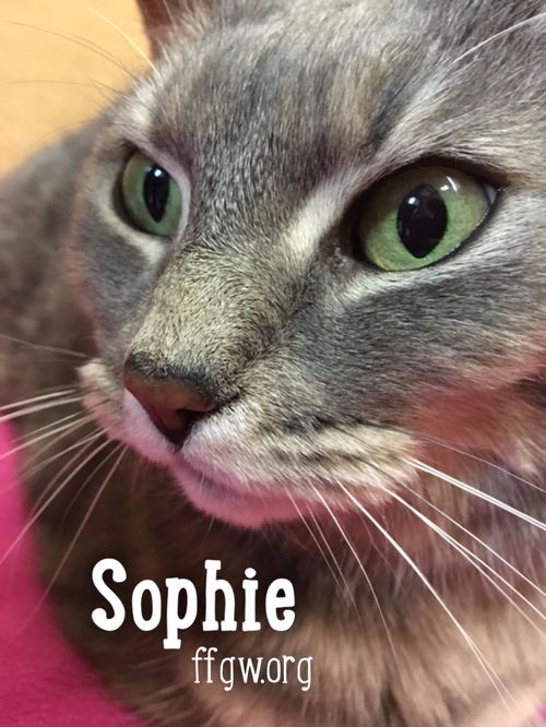 Sophie