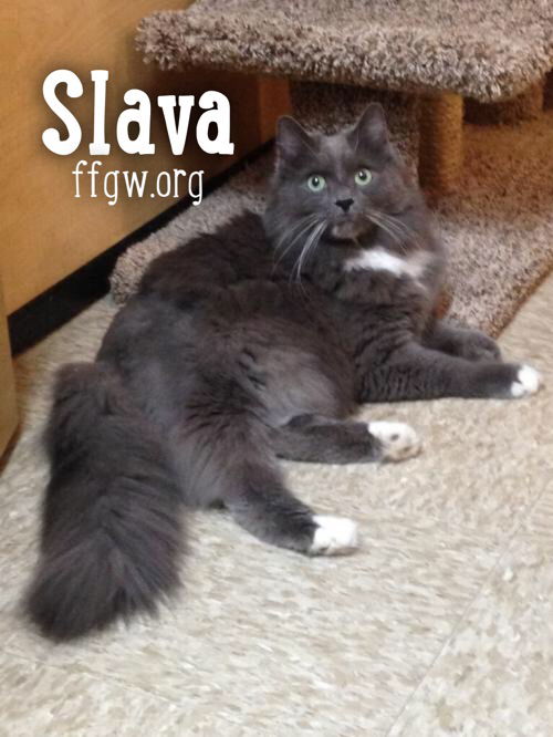 Slava