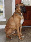 DUNCAN