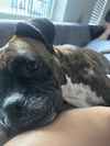 HATLEY