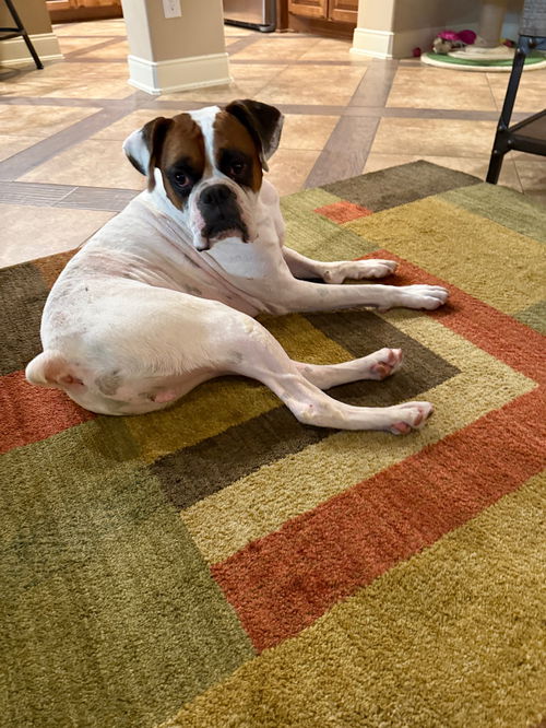 PRETZEL