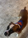CLARK