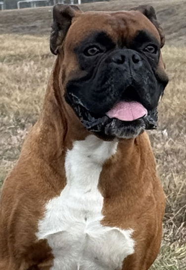ATLAS