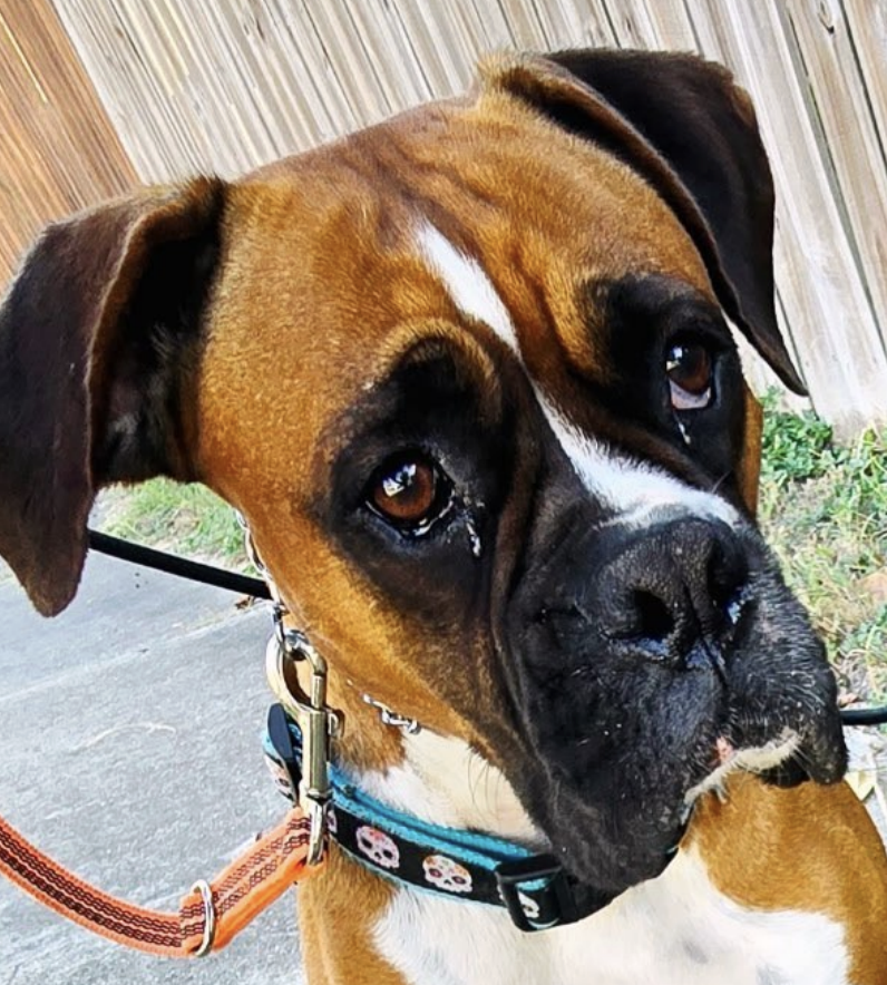 HAILEY