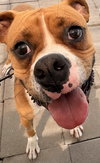 BUCKLEY
